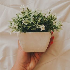 flower arrangement/decor